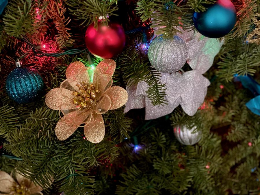 A couple ornaments on my own Christmas tree. 