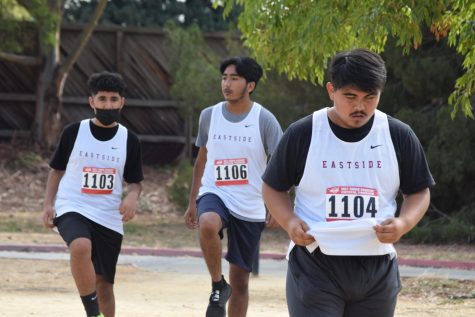 Cross Country Races: Keep Up With the Runners