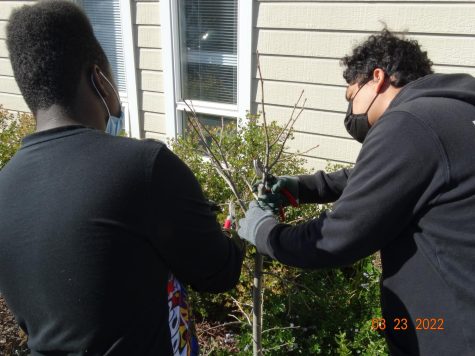 Senior Judge Cantrell works with Canopys Adrian Maciel to care for plants.    Photo courtesy of Canopy